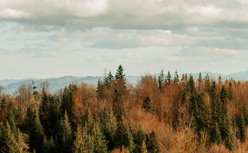 Hacer lugar para otros