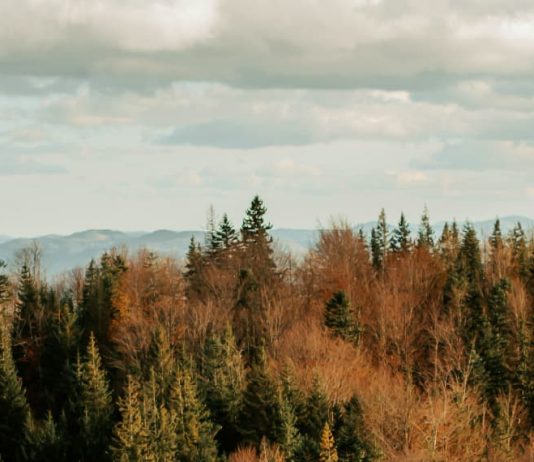 Hacer lugar para otros