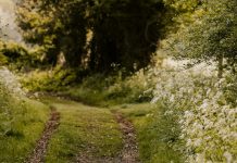 Una historia aleccionadora