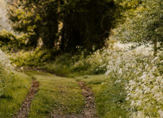Una historia aleccionadora