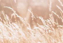 Andar en la luz de Cristo