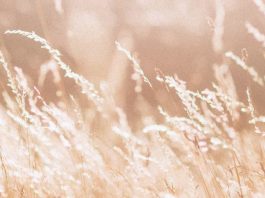 Andar en la luz de Cristo