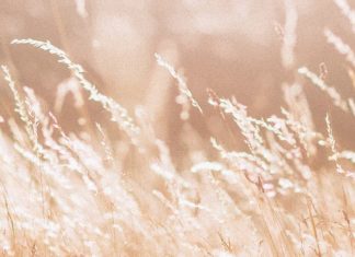 Andar en la luz de Cristo