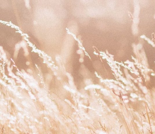 Andar en la luz de Cristo