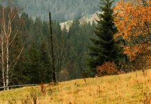 El método de Dios es el amor