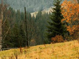 El método de Dios es el amor