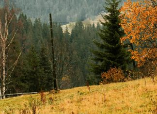 El método de Dios es el amor