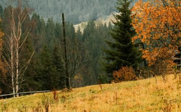 El método de Dios es el amor