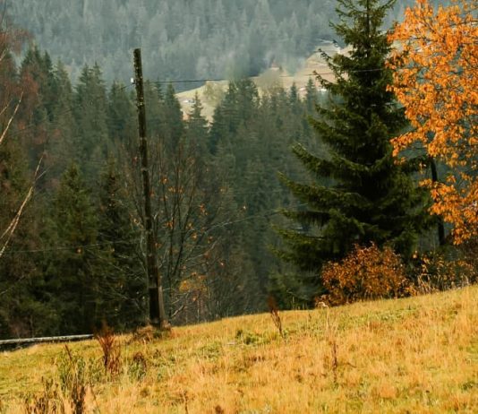 El método de Dios es el amor