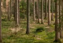 Fortalecerse en Dios