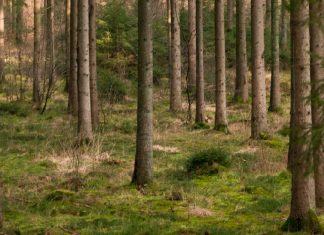 Fortalecerse en Dios