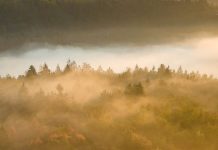 El trabajo que importa