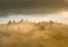 El trabajo que importa