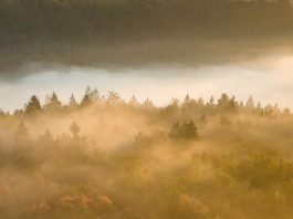 El trabajo que importa