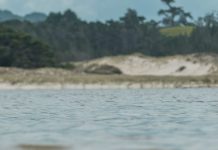 El Dios que lo hizo todo