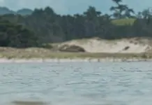 El Dios que lo hizo todo