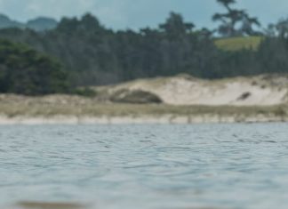 El Dios que lo hizo todo