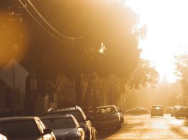 Un tributo y recordatorio