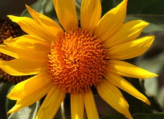 Para ver a Dios en acción