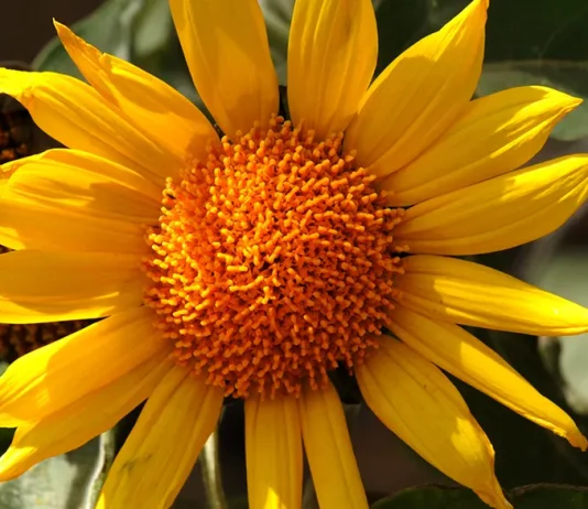 Para ver a Dios en acción