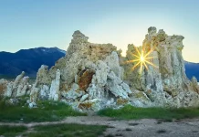 Jesucristo: El Salvador que nos busca