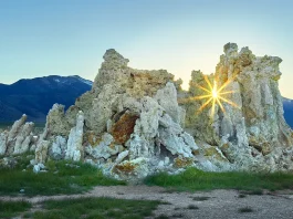 Jesucristo: El Salvador que nos busca