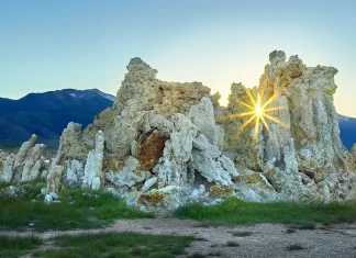 Jesucristo: El Salvador que nos busca