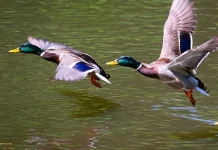 ¿Qué es la vida llena del Espíritu?