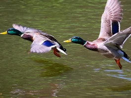 ¿Qué es la vida llena del Espíritu?