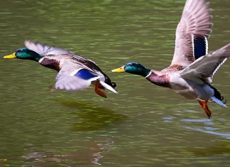 ¿Qué es la vida llena del Espíritu?