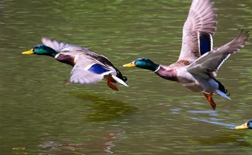 ¿Qué es la vida llena del Espíritu?