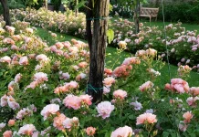 El principio del quebrantamiento