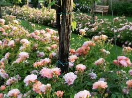 El principio del quebrantamiento