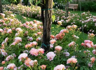 El principio del quebrantamiento