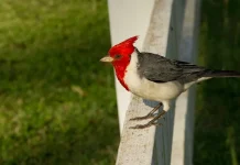 La fuente de nuestra esperanza