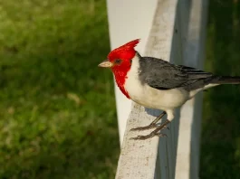 La fuente de nuestra esperanza