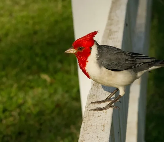 La fuente de nuestra esperanza