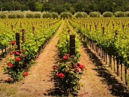 El poder de la perseverancia