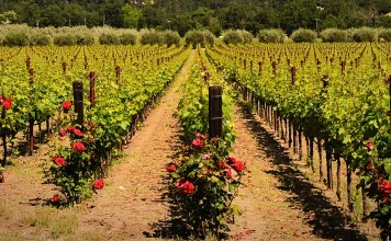 El poder de la perseverancia