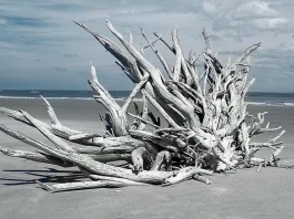 Dios y la enfermedad