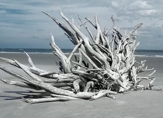 Dios y la enfermedad