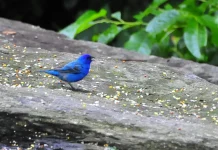 Cómo superar las pruebas