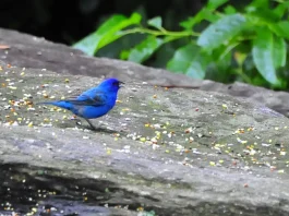 Cómo superar las pruebas