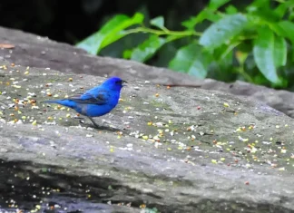 Cómo superar las pruebas