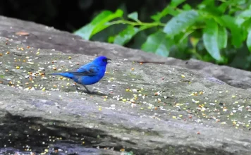 Cómo superar las pruebas