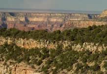 El mensaje de la cruz