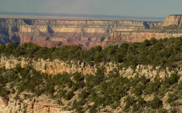 El mensaje de la cruz
