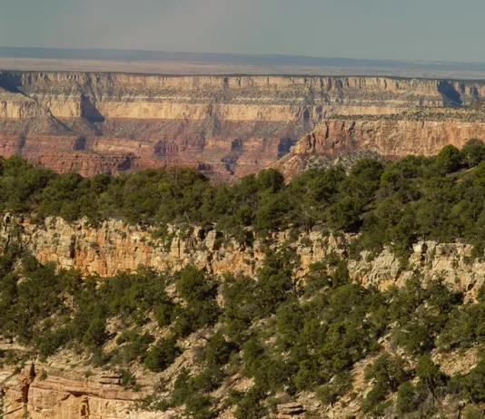 El mensaje de la cruz