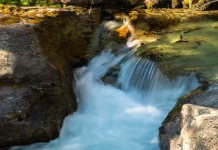 Los beneficios de la gratitud