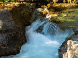 Los beneficios de la gratitud